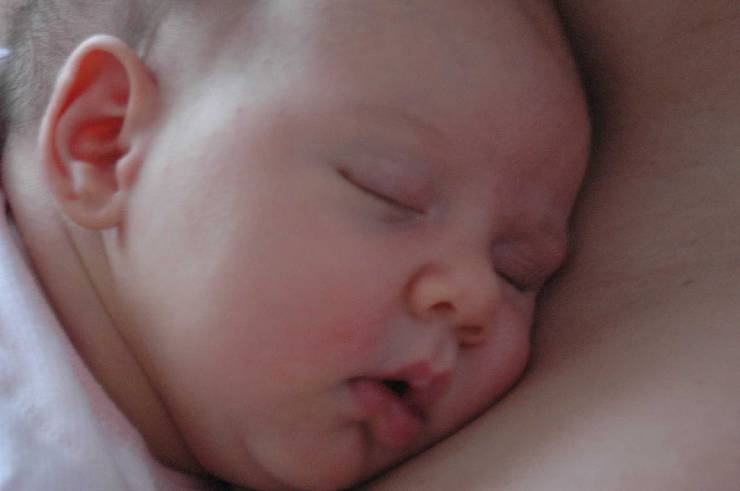 Click for original image 85k 1805x1200