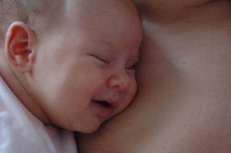 Click for original image 90k 1805x1200