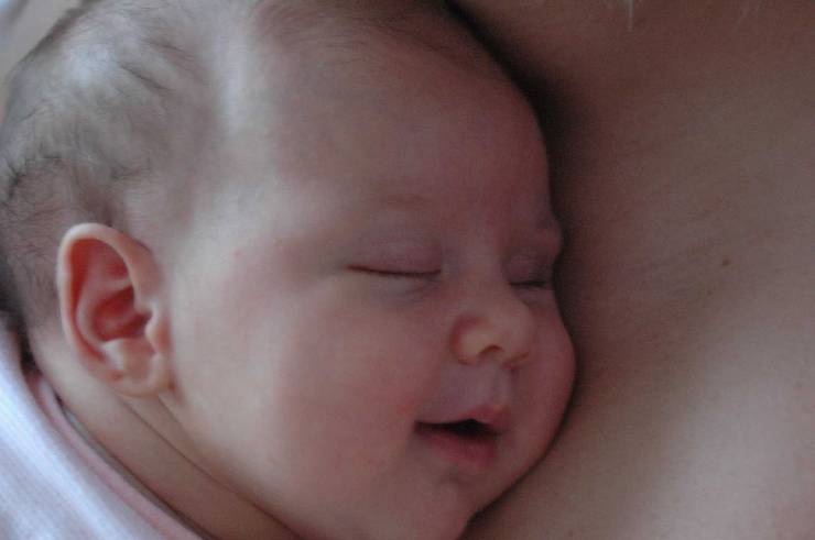 Click for original image 93k 1805x1200