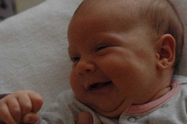 Click for original image 110k 1805x1200