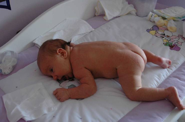 Click for original image 100k 1805x1200