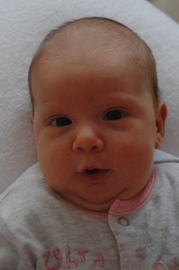 Click for original image 112k 1200x1805