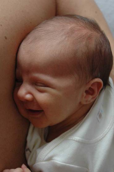 Click for original image 105k 1200x1805