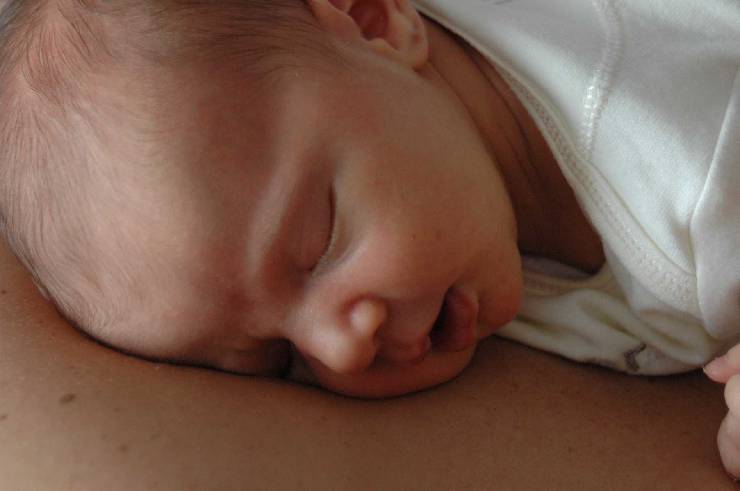 Click for original image 102k 1805x1200