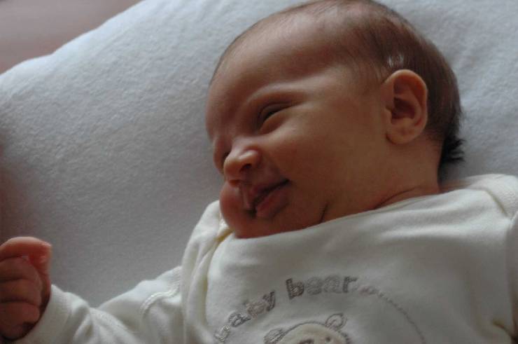 Click for original image 100k 1805x1200