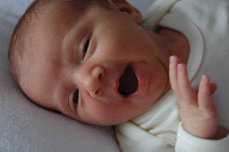 Click for original image 98k 1805x1200