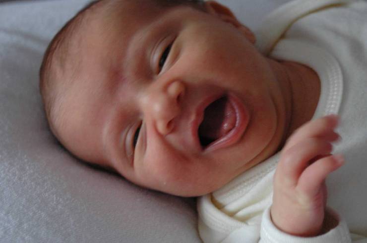 Click for original image 96k 1805x1200