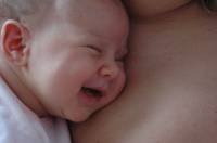 Click for large version